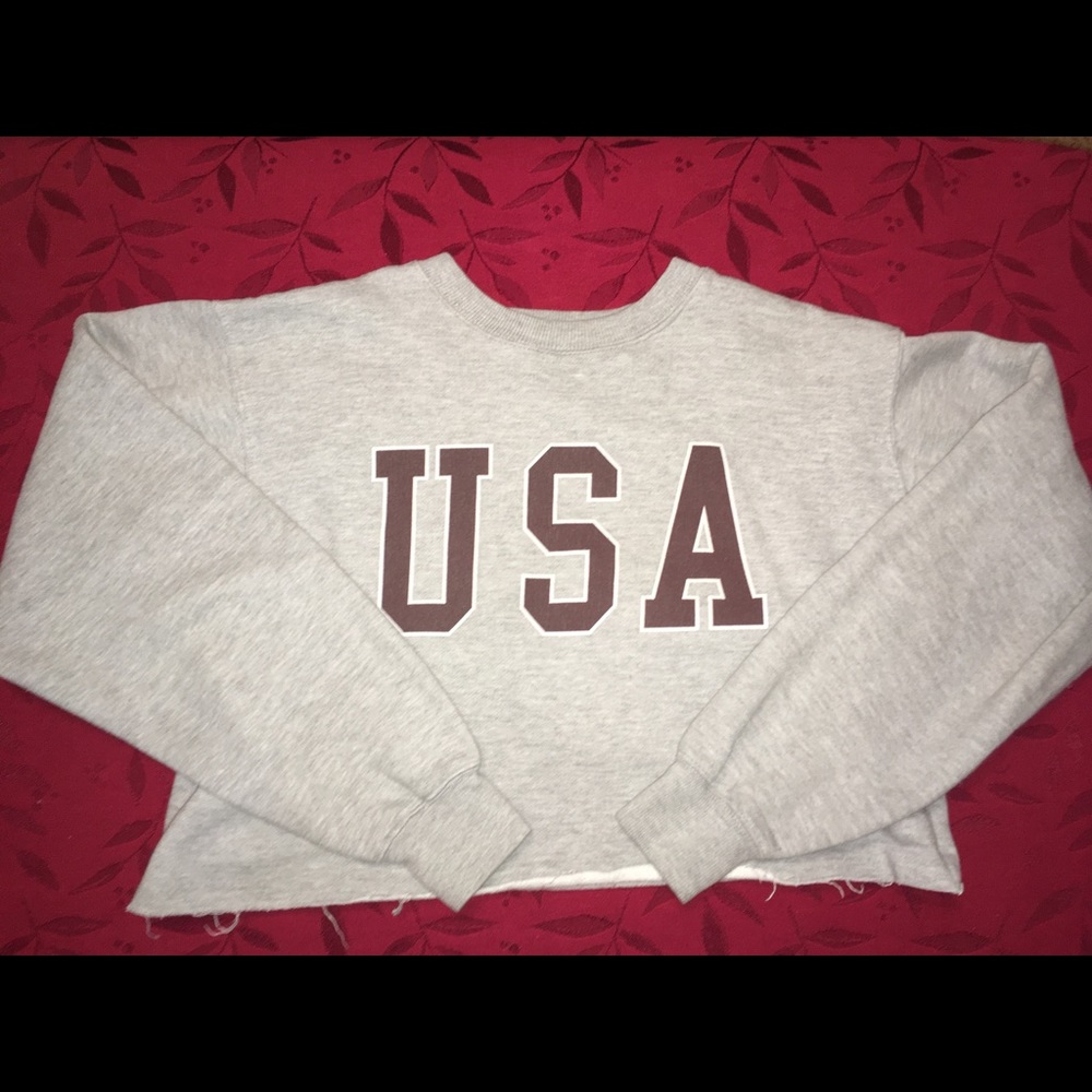 Brandy Melville USA Cropped Sweater